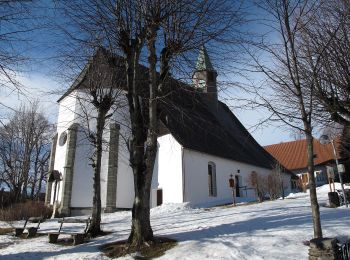 Randonnée A pied Mönichkirchen - tut gut Route 3 Mönichkirchen - Photo