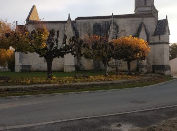 Randonnée Marche Varzay - marche des chênes centenaires  - Photo