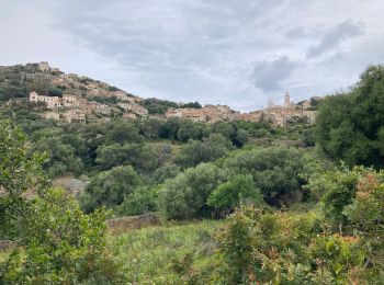 Randonnée Marche Aregno - Algajola - Photo