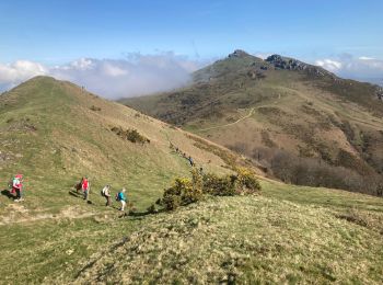 Tour Wandern Itxassou - Col des veaux 2024 03 19 - Photo