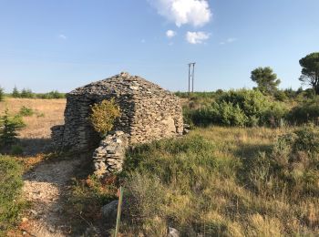 Tocht Stappen Conques-sur-Orbiel - Mur_aribaud_capitelles_réel - Photo