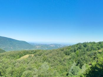 Tour Zu Fuß Santa Margherita di Staffora - IT-13 - Photo