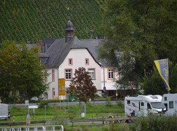 Randonnée A pied Graach an der Mosel - Himmelreich Wanderweg - Photo