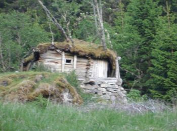 Tour Zu Fuß  - Tenål-Kallbakk - Photo