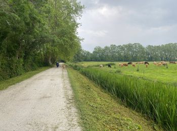 Percorso Marcia Dax - 2023-05-24 TOUR COMPLET DU BOID DE BOULOGNE - Photo