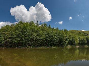 Tour Zu Fuß Ventasso - (SI L21) Rifugio Sarzana al Monte Acuto - Pratospilla - Photo