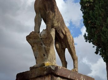 Excursión Senderismo Bagno a Ripoli - Villa Mondeggi - Photo