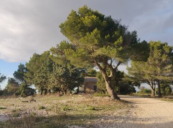 Randonnée Marche Roquefort-la-Bédoule - Vieux Roquefort  - Photo