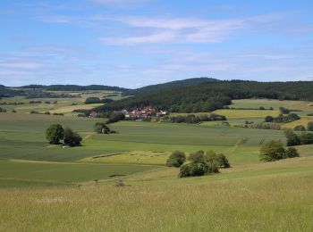 Percorso A piedi Gladenbach - Wollenbergweg - Photo