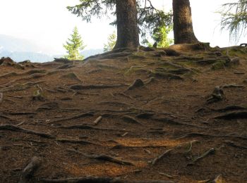 Percorso A piedi Bicaz - Cabana Izv. Muntelui - Piatra cu Apă - Cabana Dochia - Photo