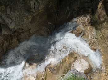 Percorso A piedi Wörschach - Wörschachklamm - Ruine Rundweg - Photo