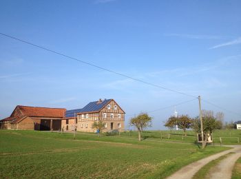 Percorso A piedi Borgentreich - Lamerden Rundweg La1 - Photo