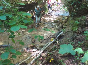 Trail Walking Ornans - Cascades de la Peusse, Baume Bourla - Photo