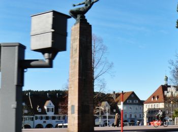 Tocht Te voet Freudenstadt - Glatttal-Höhenweg - Photo