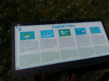 Tour Zu Fuß Unbekannt - Eyjaleið - Photo