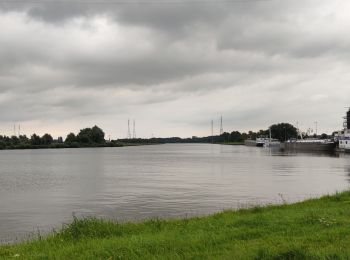 Excursión Senderismo Puurs-Sint-Amands - Randonnée à Sauvegarde  - Photo