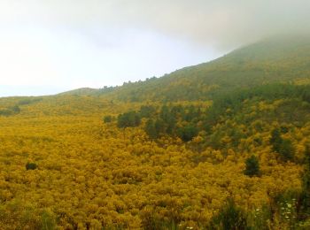 Trail On foot Ottaviano - Sentiero 2: Creste del Somma - Photo