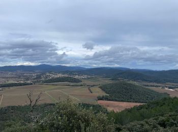 Tocht Stappen La Crau - La Navarre - Photo