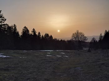 Randonnée Marche Longevilles-Mont-d'Or - Grangette - Photo