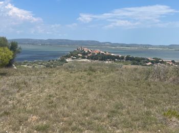 Tour Wandern Bages - Nages d’Aude - Photo