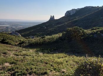 Excursión Senderismo Lançon-Provence - parking des Baisses - Photo