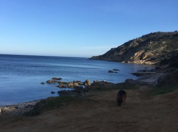 Randonnée Marche Ramatuelle - Ramatuelle chemin du littoral  83 - Photo