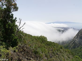 Tocht Stappen San Sebastián de la Gomera - La Laja Saint Sébastien de la Gomera - Photo