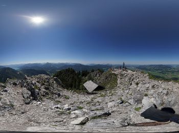 Percorso A piedi Thalgau - Forsthaus Wartenfels Wanderweg - Photo