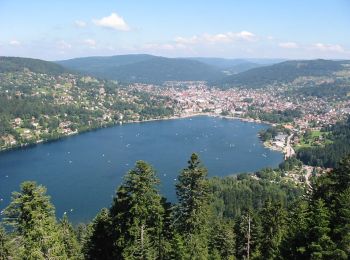 Trail On foot Gérardmer - Sentier du Tour du Lac - Photo