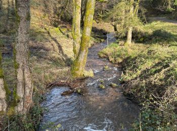 Excursión sport Lutzelhouse - Wisches sentier des géants  - Photo