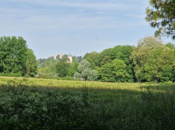 Tocht Stappen Montfort-l'Amaury - Yvelines_[Rando_Journée]_Montfort=>Les Mesnuls=>Autour_de_Montfort - Tronçon 1 - Photo