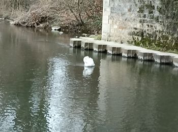 Trail Nordic walking Chartres - Pl.Drouaise  - Photo