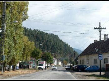 Trail On foot Gheorgheni - oraș Gheorgheni - Vf. Prișca - sub Vf. Tătarul - Photo