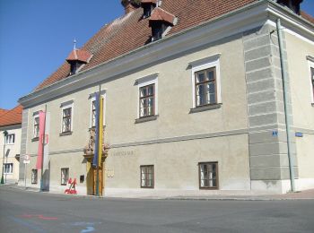 Excursión A pie Gemeinde Kirchschlag - Langegasseweg (Kirchschlag - Sechterleiten) - Photo