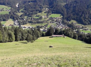 Randonnée Marche La Chapelle-d'Abondance - sur bayard - Photo