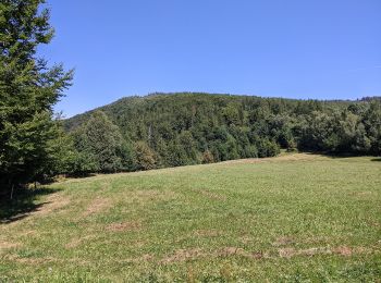 Randonnée A pied Nýdek - Rytířská stezka - Photo