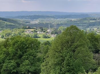 Tour Wandern Donzenac - Circuit des saulieres à Donzenac par Travassac - Photo