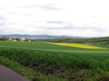 Randonnée A pied Gudensberg - Josef-Merten-Weg - Photo