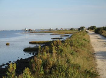 Randonnée V.T.T. Fouras - Soumard et les marais - Photo