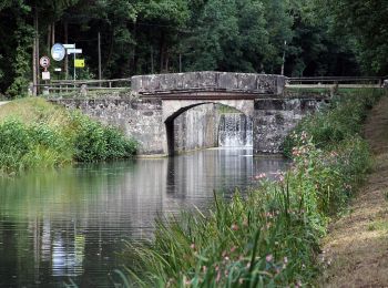 Tour Zu Fuß Schwarzenbruck - Schwarzenbruck Wanderweg No.2 - Photo