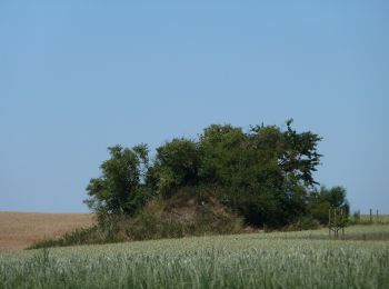 Randonnée A pied Jodoigne - Promenade de la chapelle d'Herbais - Photo