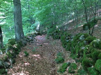 Tour Wandern Les Salces - rajas st chely - Photo