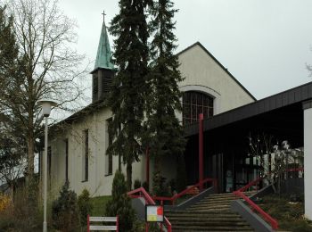 Trail On foot Flein - SB2 Vom Schozachtal zum Deinenbach - Weinwanderung - Photo