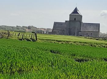 Tocht Stappen Tardinghen - tardinghen griz nez audreselles - Photo