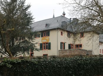 Tour Zu Fuß Geisenheim - Geisenheimer Rundweg G - Photo