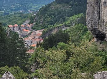 Percorso Marcia Roquefort-sur-Soulzon - le Combalou par le sentier des échelles - Photo