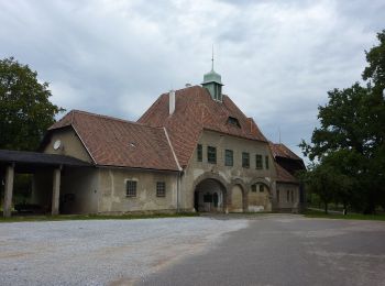 Excursión A pie Gemeinde Jaidhof - 91 - Photo