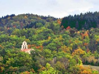 Trail Walking Jumeaux - Jumeaux_St_Jean - Photo