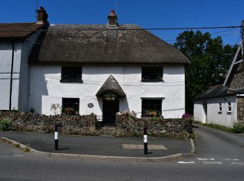 Tour Zu Fuß West Devon - Sticklepath to Belstone Circular - Photo