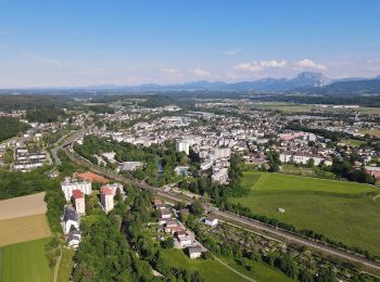 Randonnée A pied Vöcklabruck - Wartenburgerwald - Photo